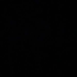 Meet your Posher, Tobi